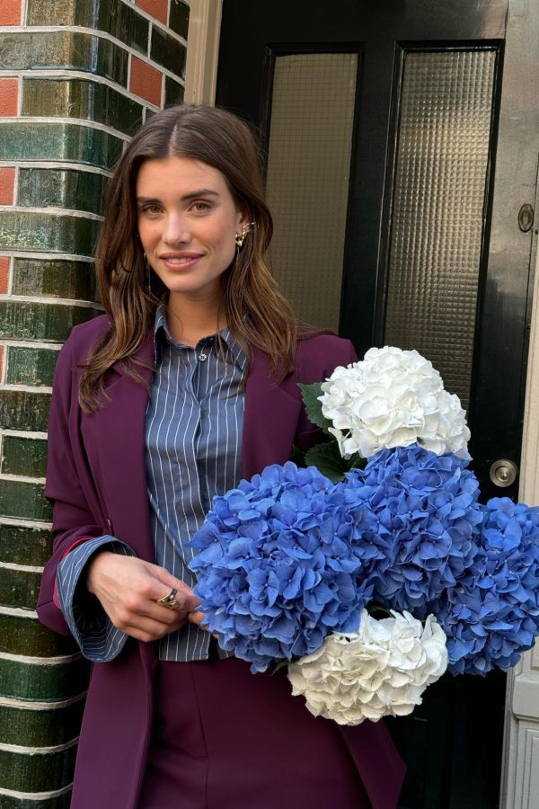 Virginsnow.shop77de426682 5