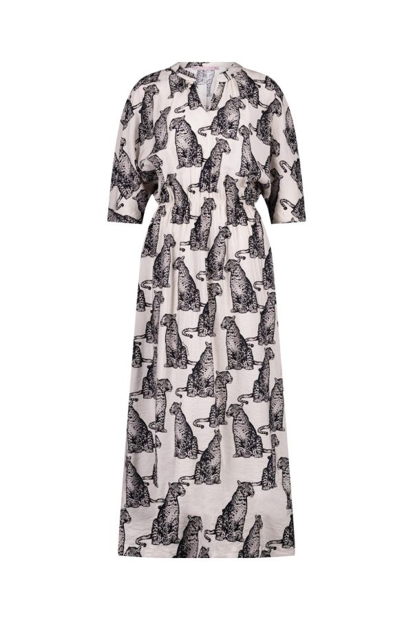 Virginsnow.shop977cccef02 2